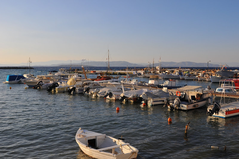 DSC_4674.JPG