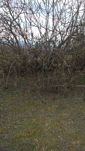468310342389ed926cb6f9133789401f.jpg