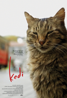 Kedi-film-poster.jpg