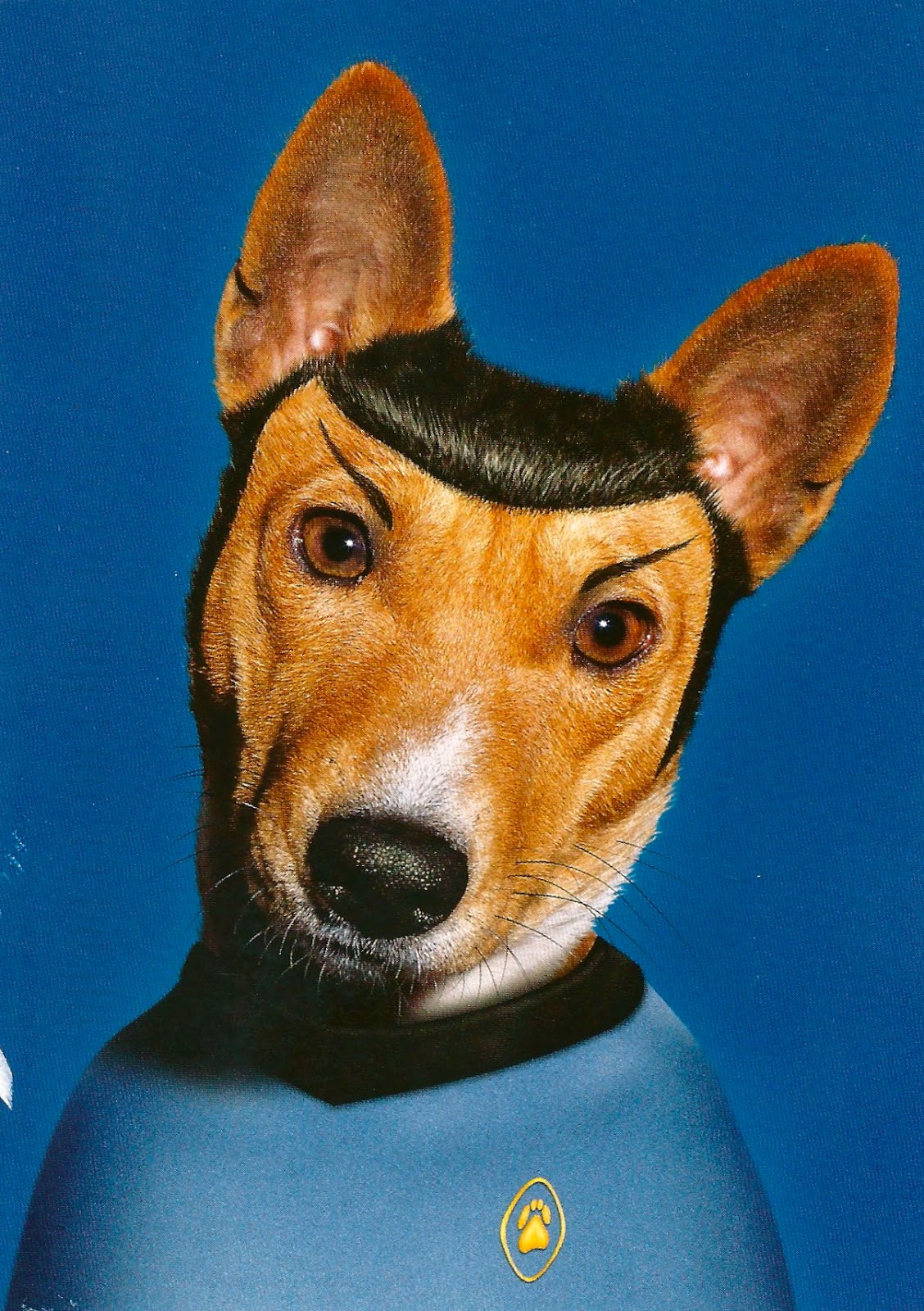 Scan+1.jpg