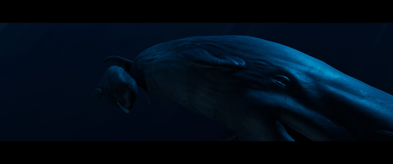 Beyond-Blue-Screenshot-2024-02-03-18-12-34-75.jpg