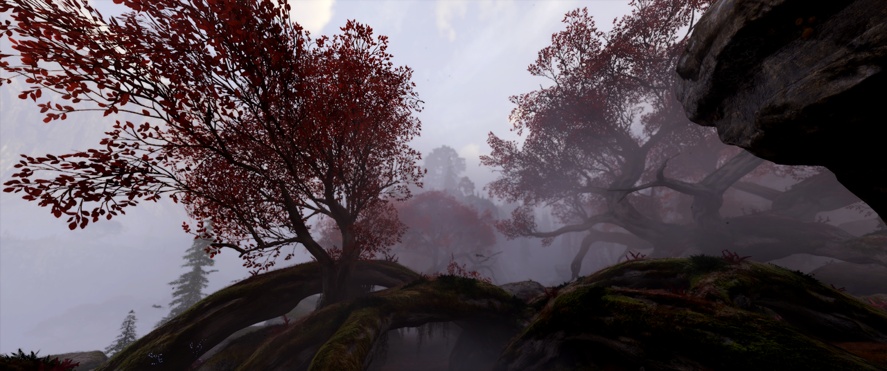 Avatar-Frontiers-of-Pandora-Screenshot-2