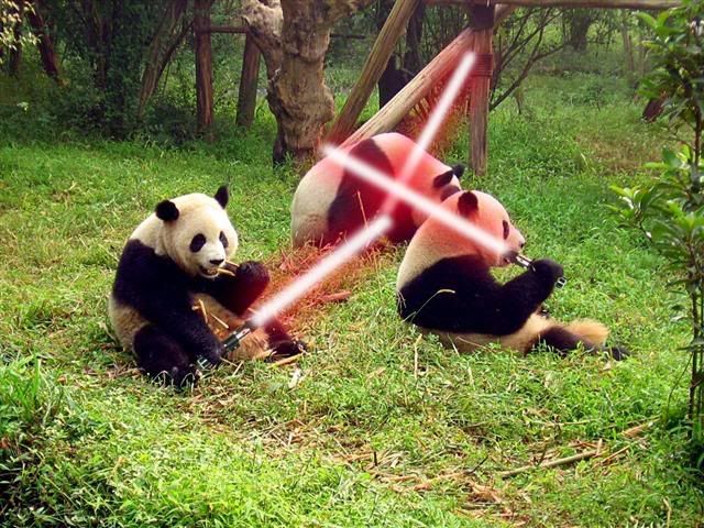 Pandas_with_sabers.jpg