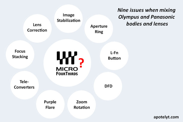 mft-compatibility-738x492.jpg