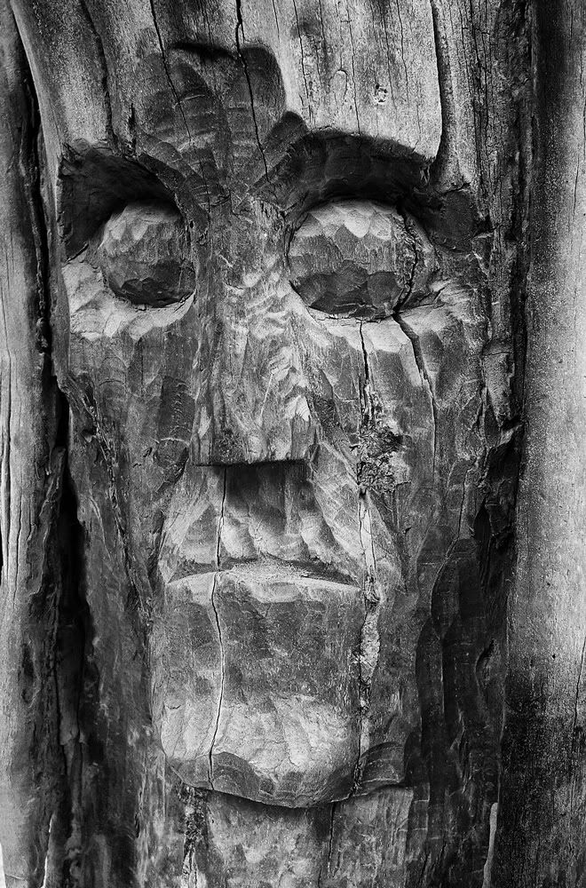 wooden_face.jpg