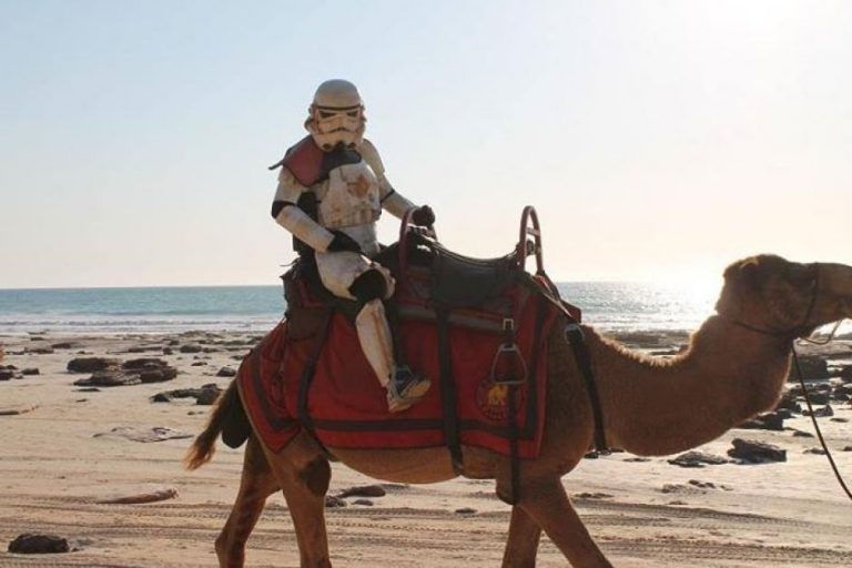 cameltrooper-768x512.jpg