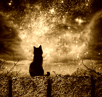 tumblr_o1j7izARdB1uugx02o1_400.gif