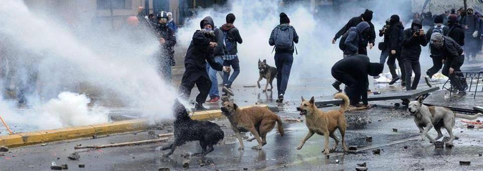 BLn8VeACAAITHxb.jpg:large