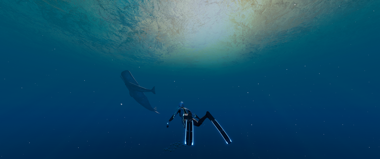 Beyond-Blue-Screenshot-2024-02-01-16-55-58-26.png
