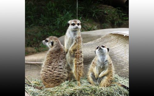 small_pictureQuality_sharpen.jpg