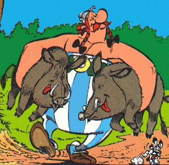 Obelix.jpg