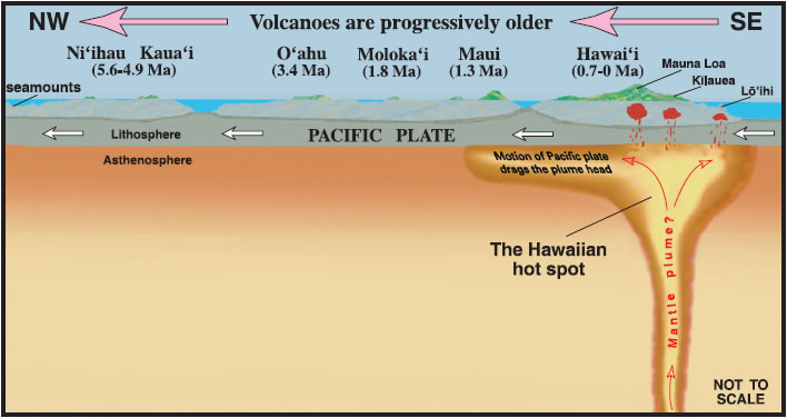 hawaiian-hot-spot.jpg