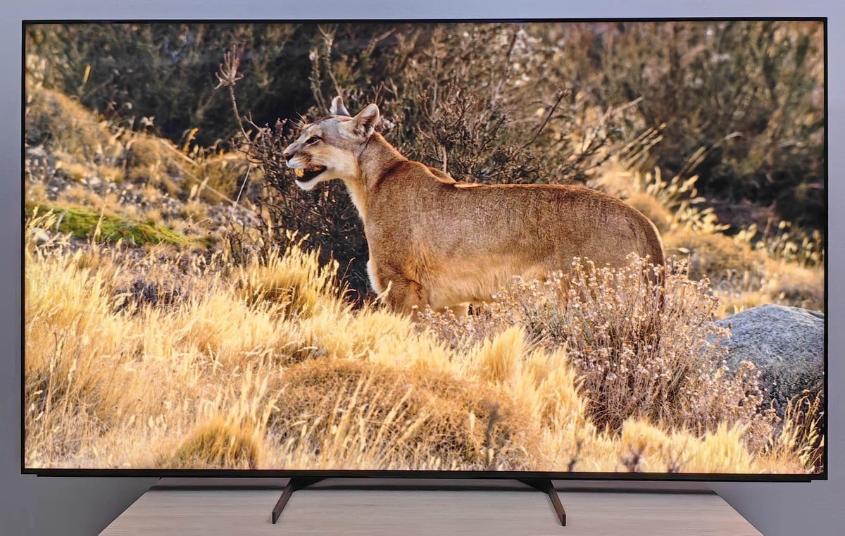 sony-xr-75x95l-details-0001.jpg