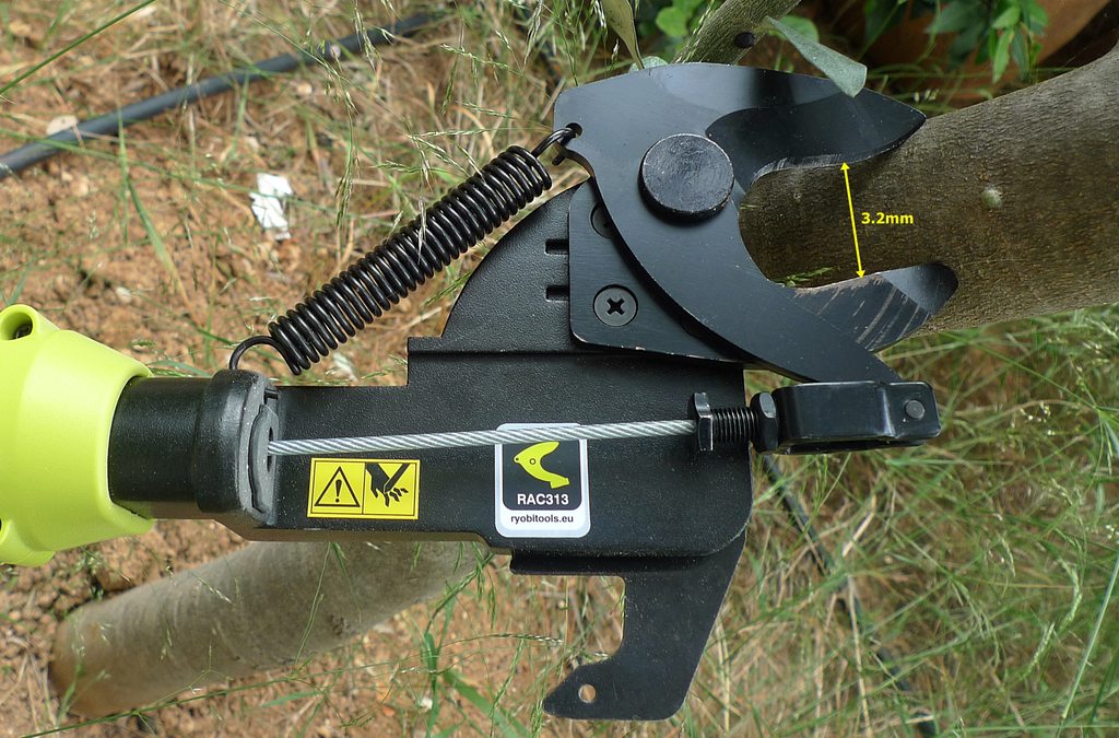 hzOq545h.jpg
