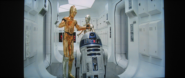 sw-stretch-thumb.jpg
