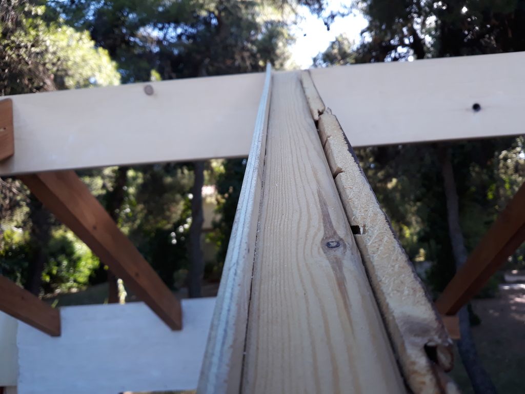20180814_180825_zpszhbeph5l.jpg