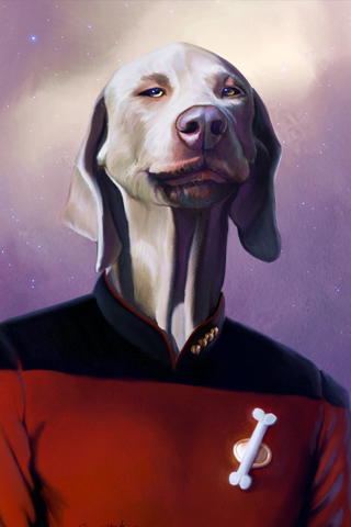 54736.png