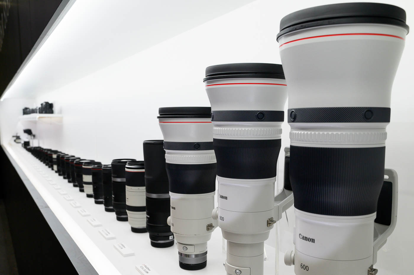 photorend-cp-2023-interview-canon-lineup.jpg
