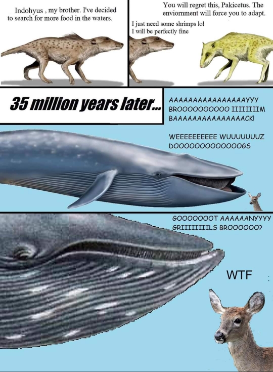 55da2f48576362f511749e0ea1d92a56.jpg
