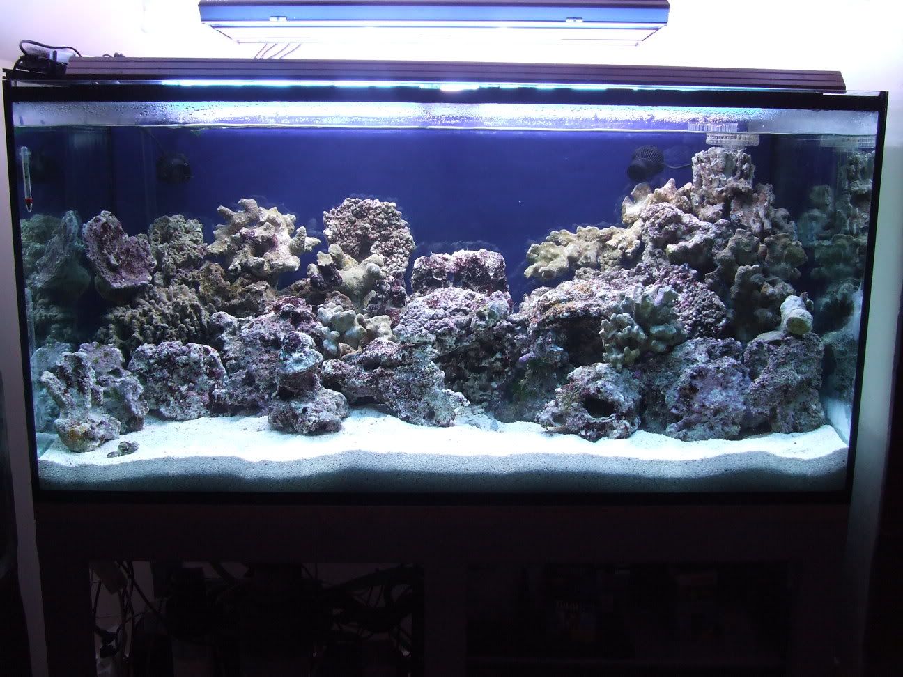 10-10-20081.jpg