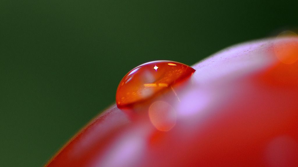 DSC_6352_04_zps2qnsre7d.jpg