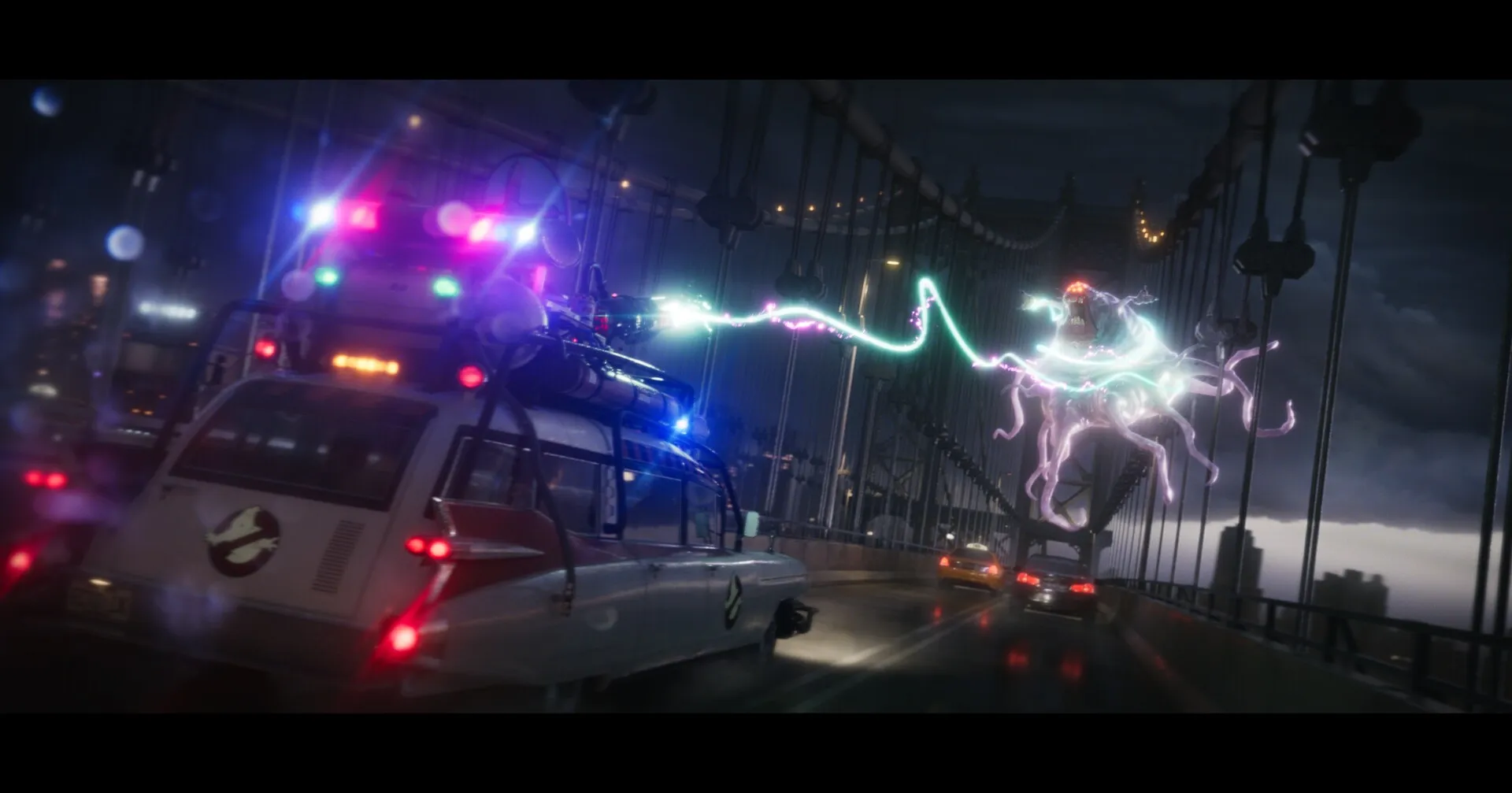 ecto_1x_fabrizio.webp