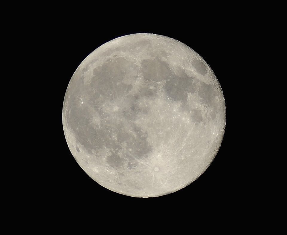 DSC_1204.jpg