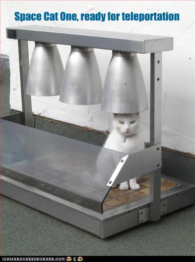 teleport-cat.jpeg