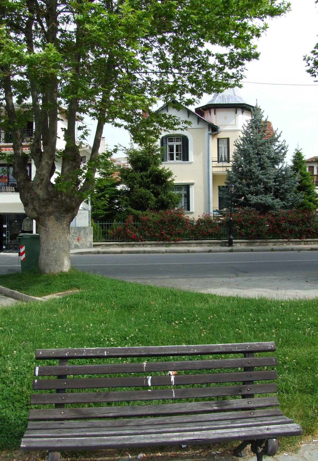 DSCF2914.JPG