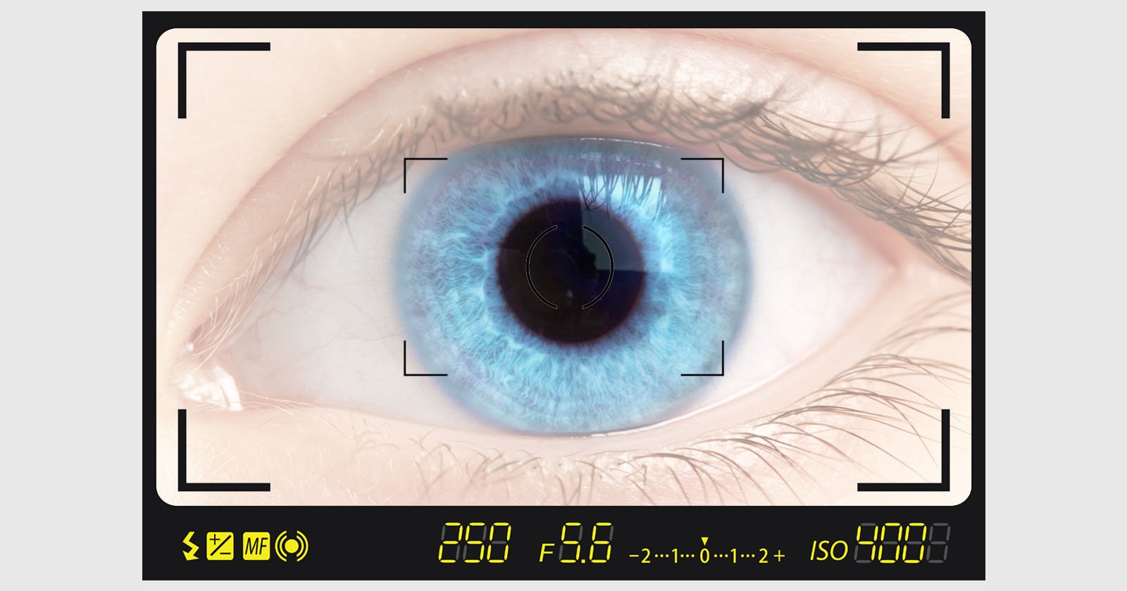 petapixel.com