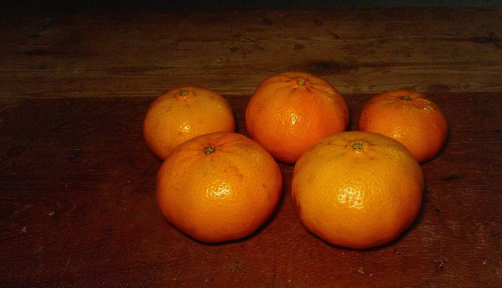 RlzCt04h.jpg