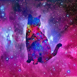 1k4p.gif