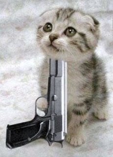 kitten_suicide.jpg