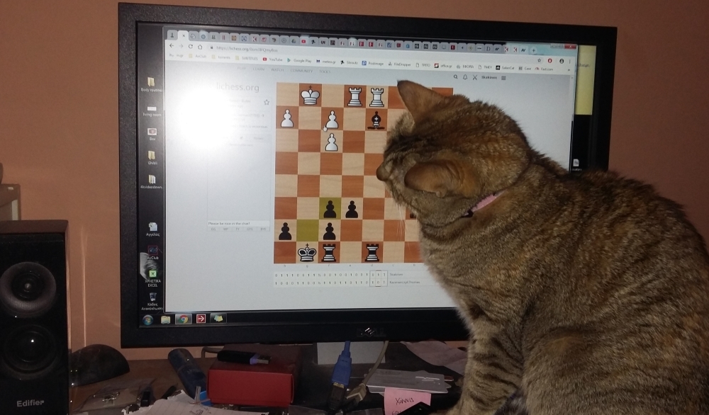 Minion-chess-b.jpg