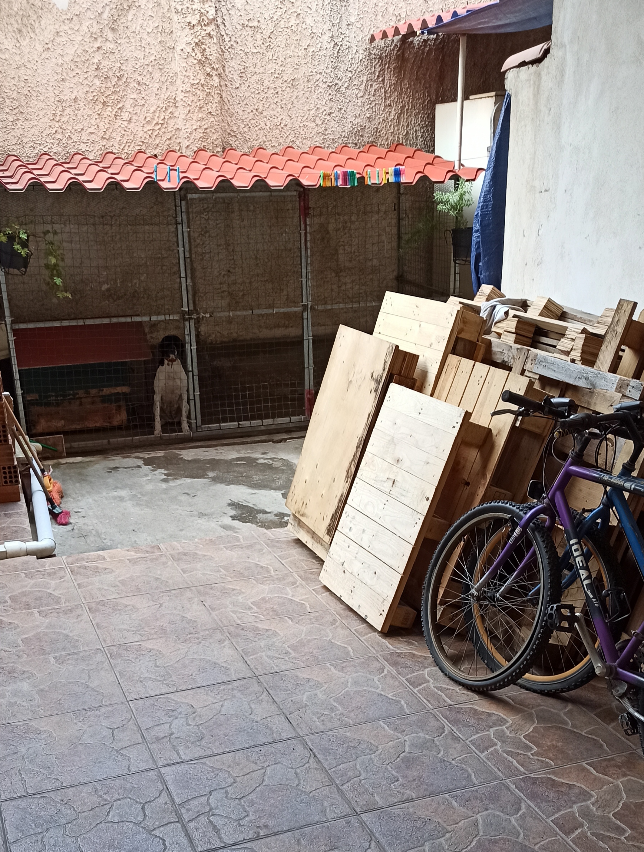 IMG-20210307-152211.jpg