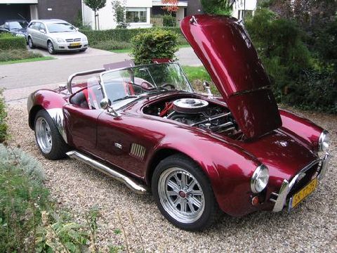 cobra_cs1.jpg
