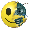 h01117.gif