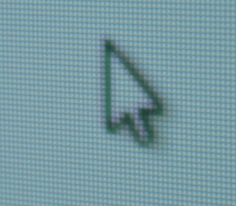SAM_1303.jpg