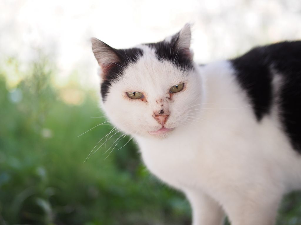 PC270981.jpg~original