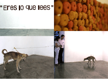 eres-lo-que-lees-final.gif