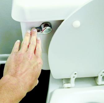 flush.jpg