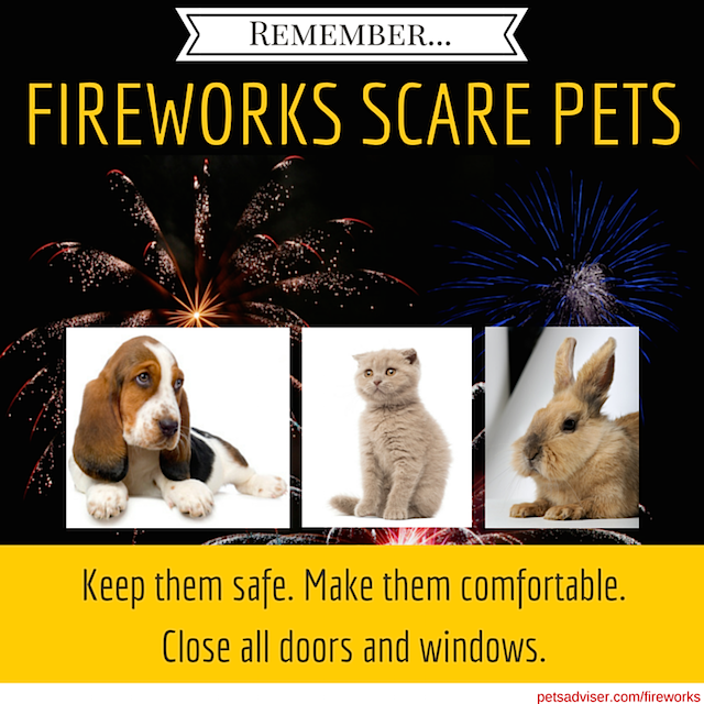 fireworks-scare-pets.png