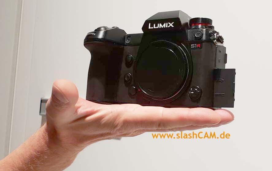 PanasonicS1R_hand-14634_PIC1.jpg