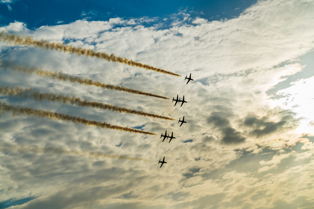 21266139536_089c728eaa_b.jpg