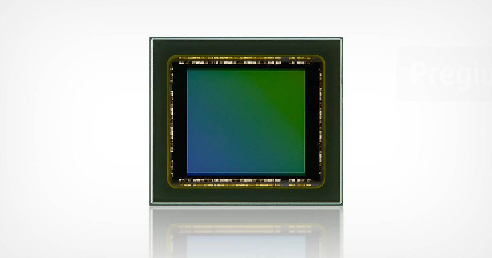 petapixel.com