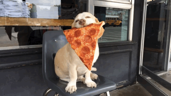 sidpizza.gif