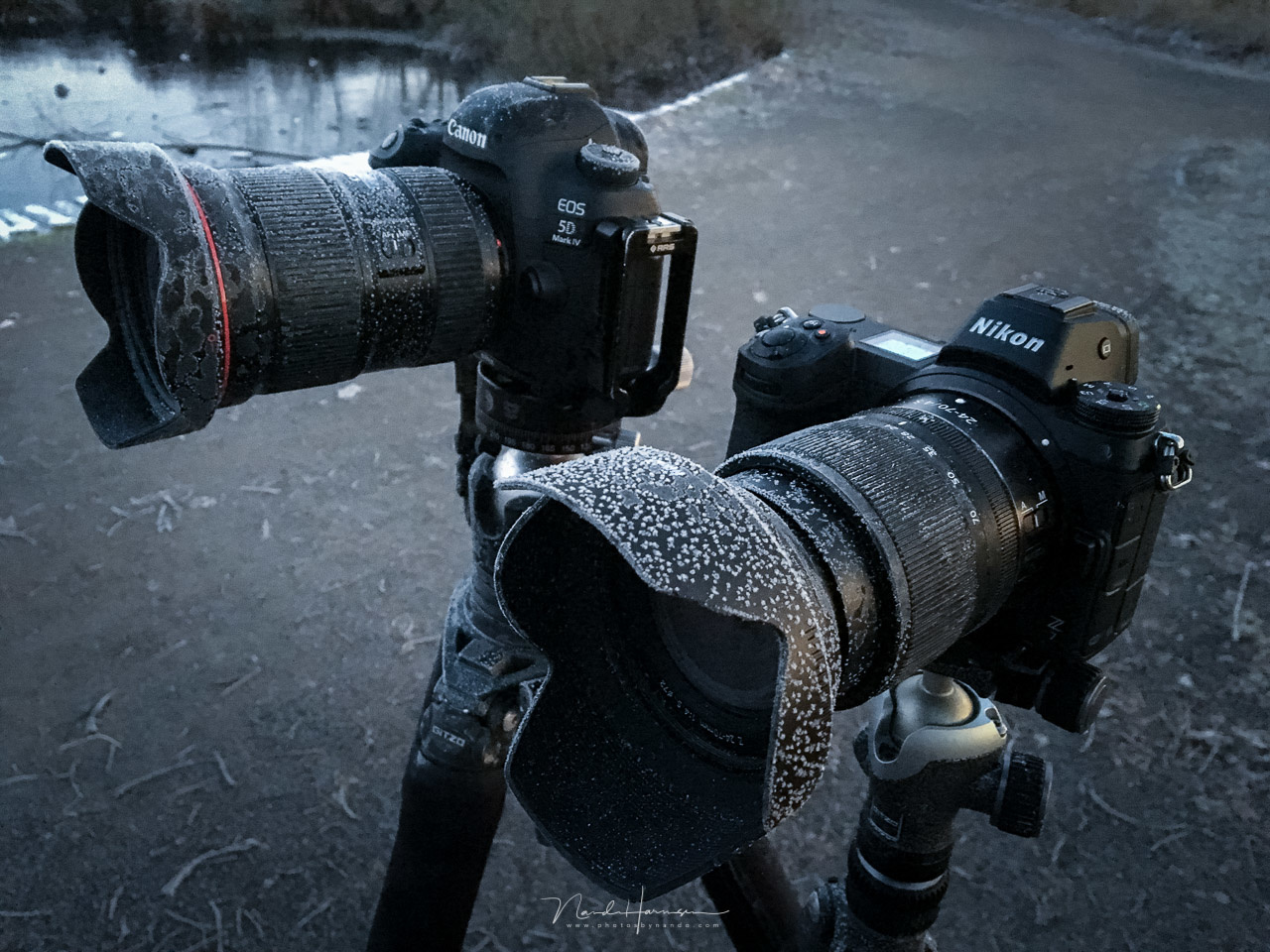 nando-freezing-temperatures.jpg