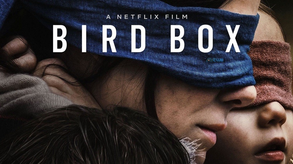 Bird-Box.jpg
