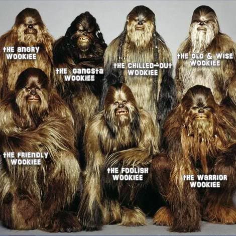 wookie.jpg