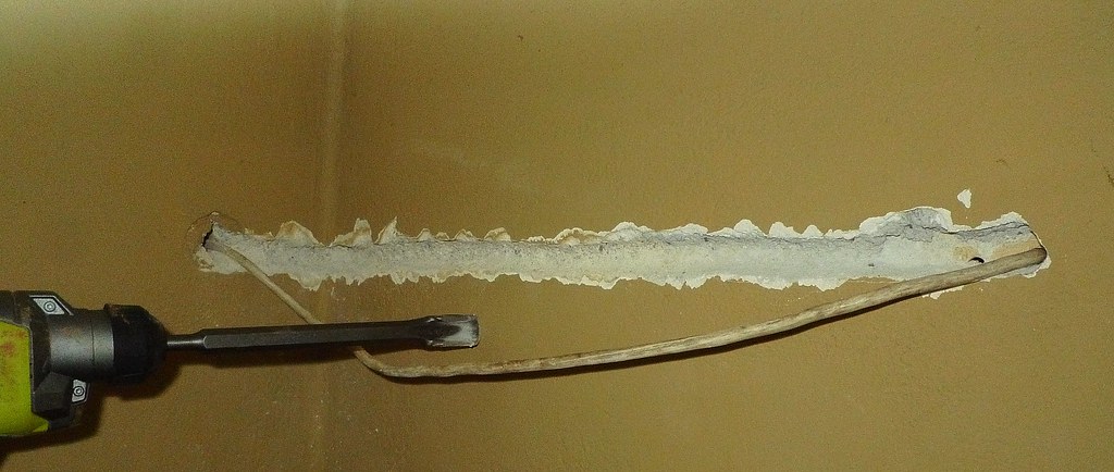 49882950763_fa03069ec9_b.jpg